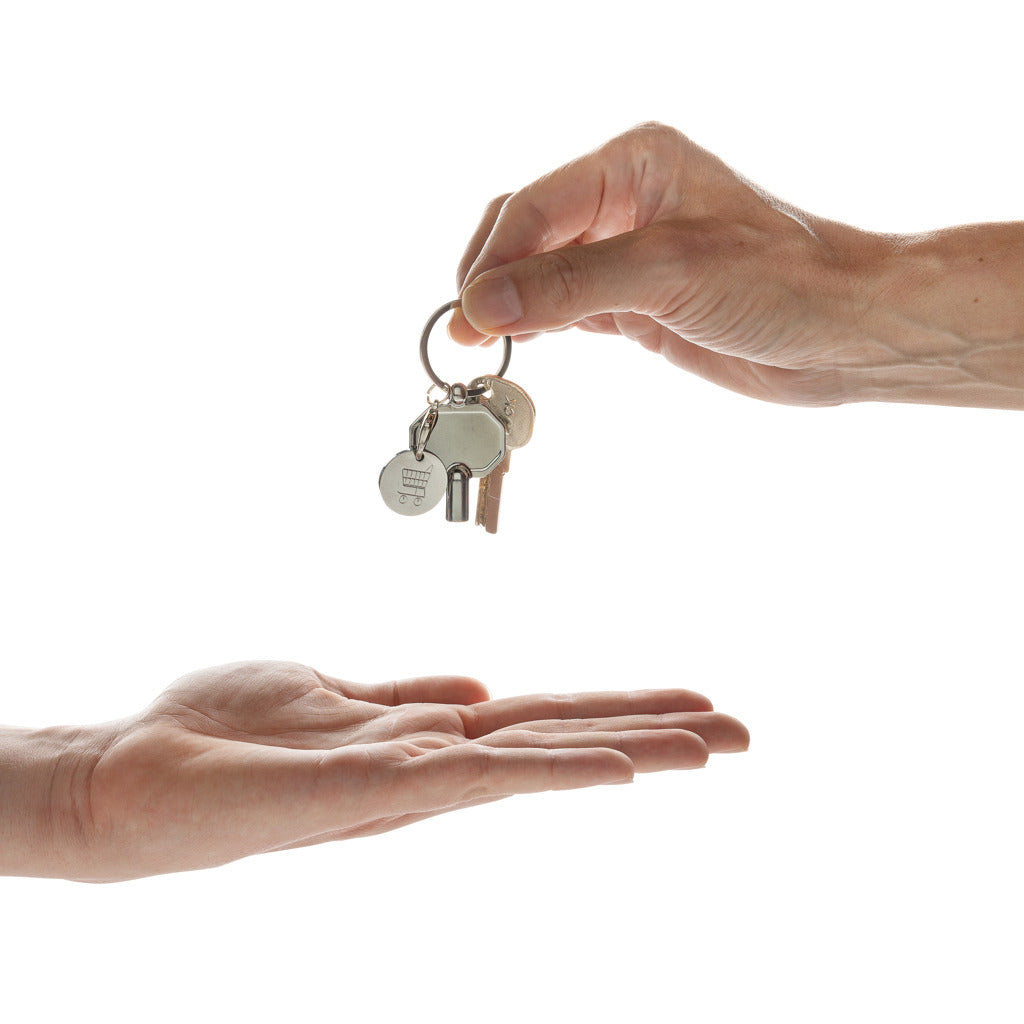 RCS recycled zinc alloy radiator key keychain with coin - Silver