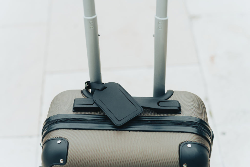 Globefind Dual RCS luggage tag with worldwide locating - Black