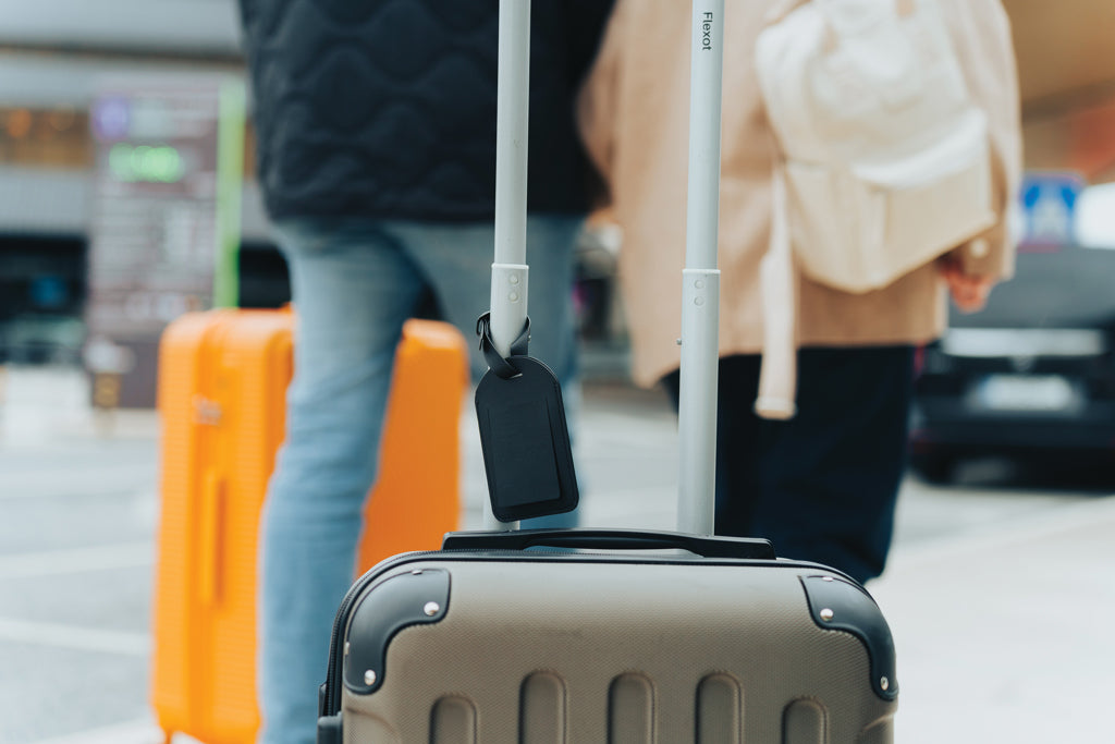 Globefind Dual RCS luggage tag with worldwide locating - Black