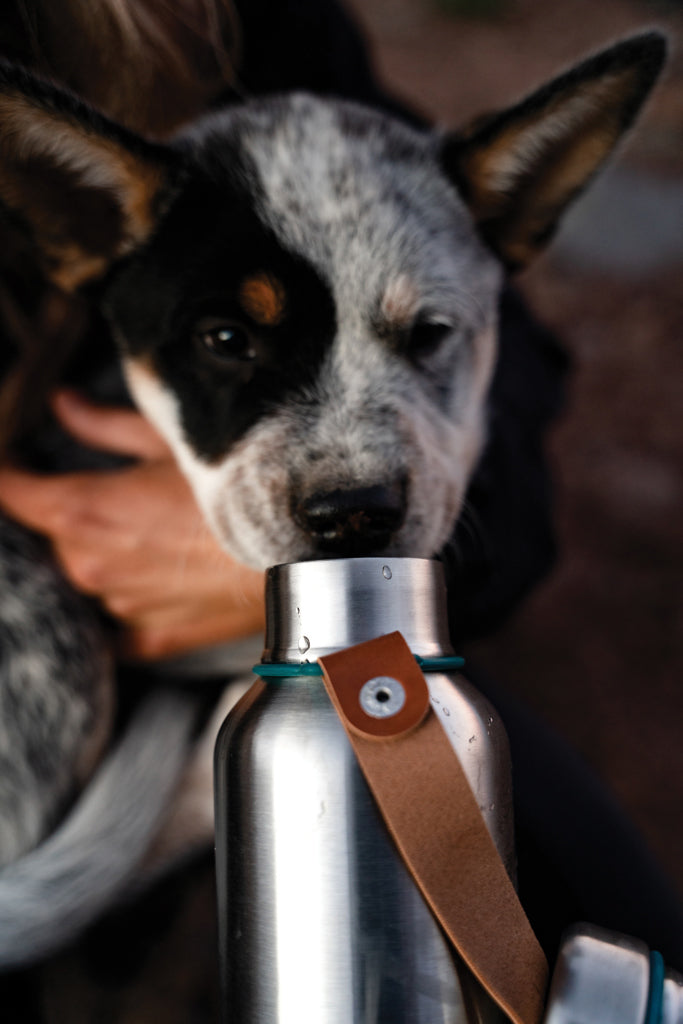 Black+Blum Insulated Water Bottle Large 750ml - Turquoise