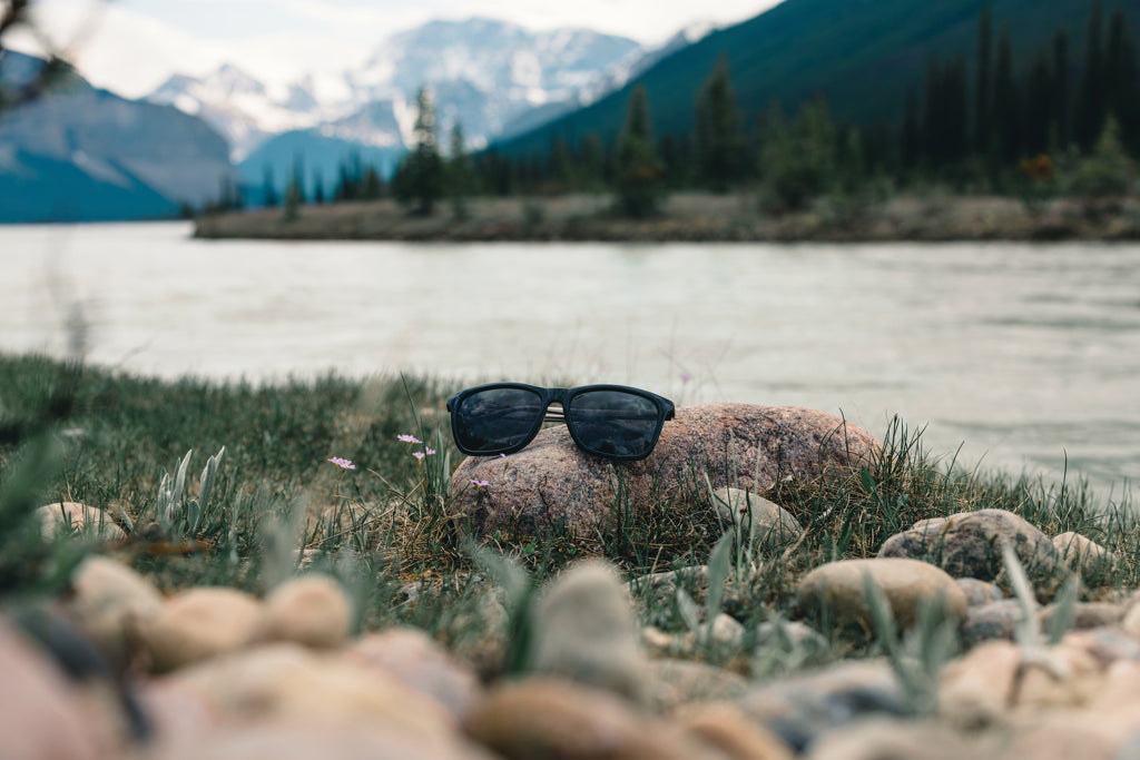 Swiss Peak RCS rplastic polarised sunglasses - Black