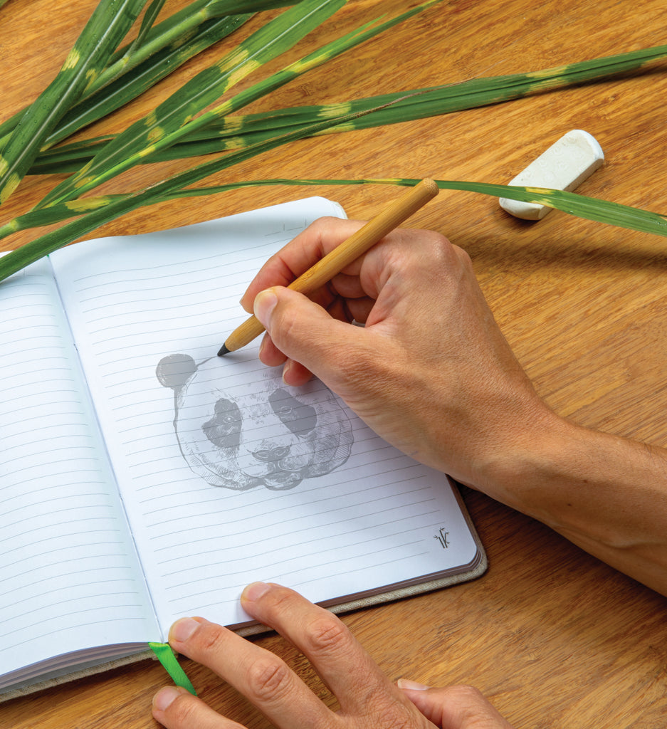 Tree free infinity pencil - Brown
