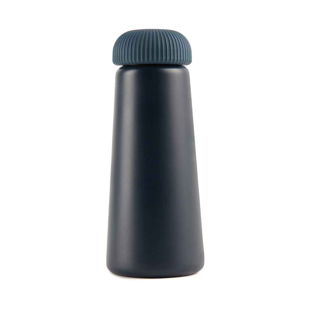 VINGA Erie RCS steel vacuum bottle 450 ML - Blue