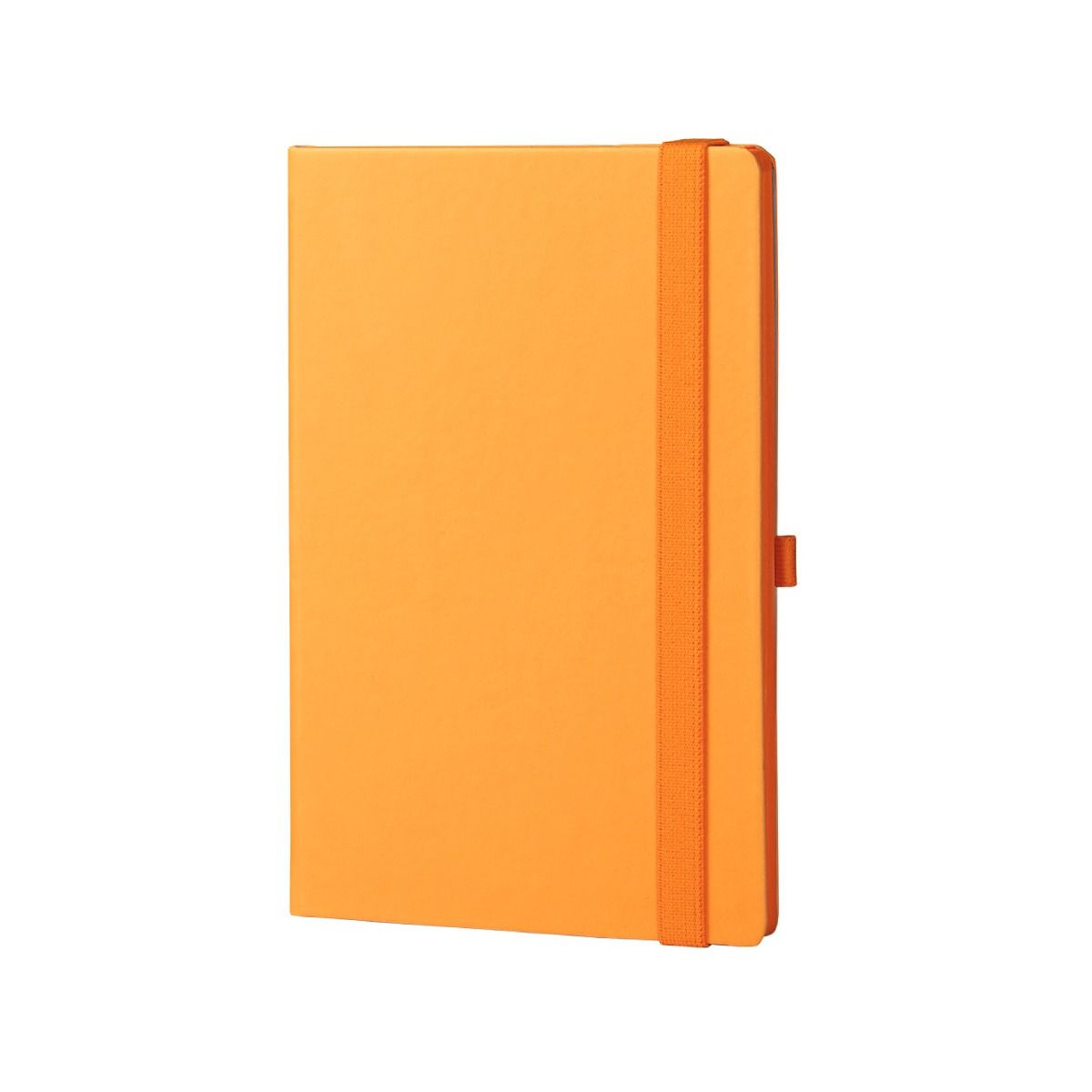 A5 Notebook Terra Colore - Indigo